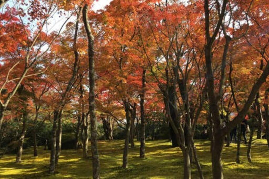 Ek House Hakone Shushinso 箱根修身荘 Villa Exterior foto